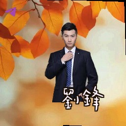刘锋